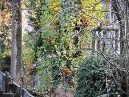Weihnachts Ausstellung Lyss 2011-28